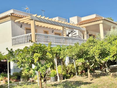 /international/es/berja-andalusia-310105296400/