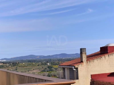 /international/es/cl-pio-xii-calig-valencian-community-310107756661/