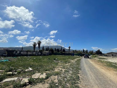 /international/es/malaga-andalusia-310100010099/
