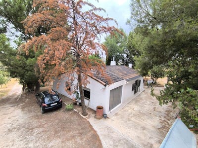 /international/es/villena-valencian-community-310100794347/