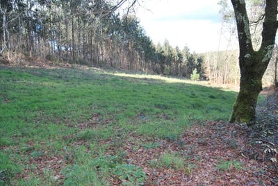/international/es/estrada-galicia-310101282560/?lang=id