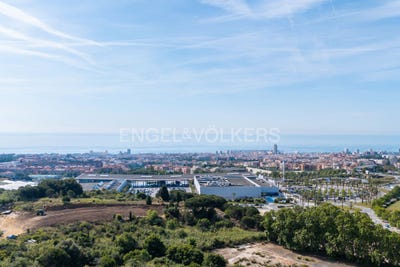 /international/es/mataro-catalonia-310100642849/