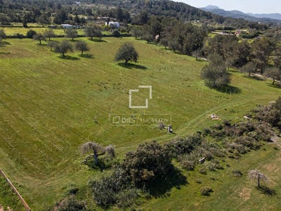 /international/es/sant-antoni-de-portmany-region-of-murcia-310107013396/