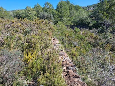 /international/es/partida-coll-d-en-piquer-ulldecona-catalonia-310105943608/