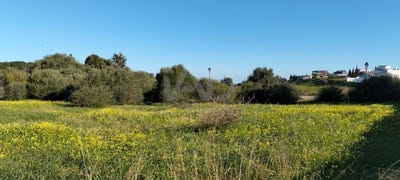 /international/es/calle-francisco-albo-sanlucar-de-barrameda-andalusia-310105943376/