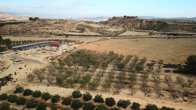 /international/es/orihuela-valencian-community-310109847233/