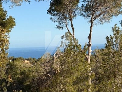 /international/es/altea-valencian-community-310108731685/