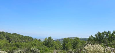 /international/es/benidoleig-valencian-community-310100280687/?lang=zh-cn