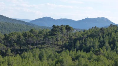 /international/es/la-font-de-la-figuera-valencian-community-310107062065/