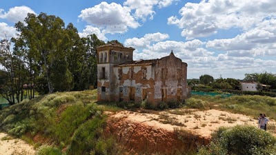 /international/es/olivares-andalusia-310101157037/?lang=zh-tw