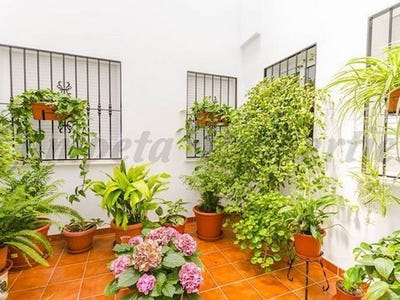 /international/es/canillas-de-albaida-andalusia-120090071678/