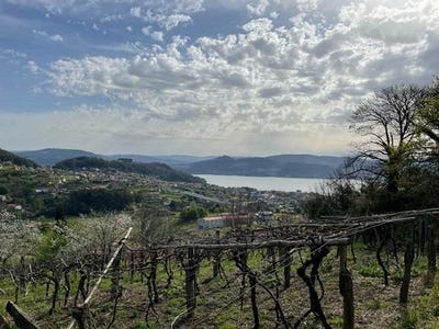 /international/es/vilaboa-galicia-310108163334/