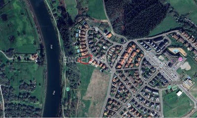 /international/es/pielagos-cantabria-310100639178/