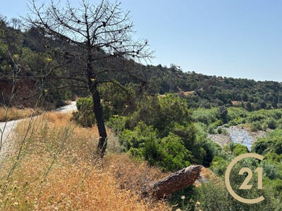/international/es/estepona-andalusia-310100741024/