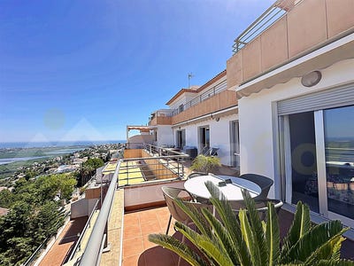 /international/es/monte-pego-valencian-community-310108465061/