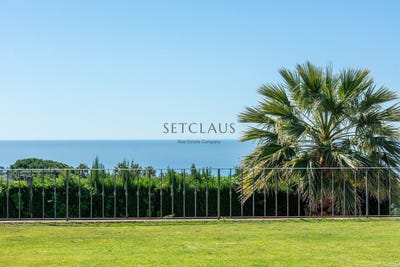 /international/es/barcelona-catalonia-310096991641/