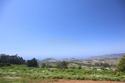 /international/es/tacoronte-canary-islands-310100369780/