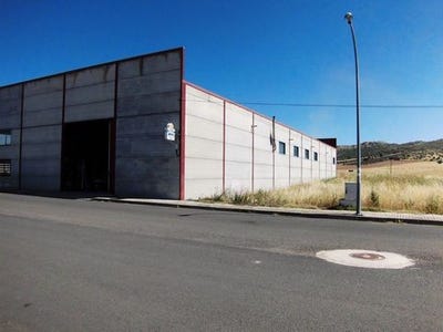 /international/es/picon-castile-la-mancha-310108842797/
