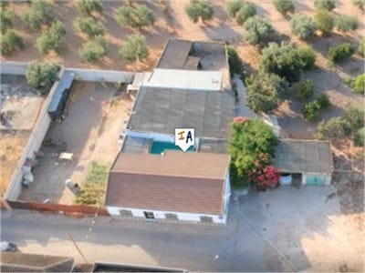 /international/es/la-carlota-andalusia-120057548618/