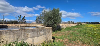 /international/es/cami-de-ses-rotes-des-cavallers-santa-margalida-balearic-islands-310108241785/