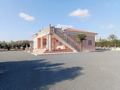 /international/es/elche-valencian-community-310100993093/