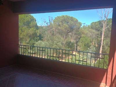 /international/es/valverde-del-camino-andalusia-310109170516/