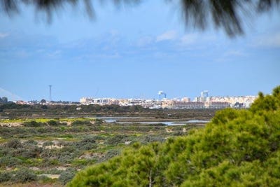 /international/es/chiclana-de-la-frontera-andalusia-310099754798/