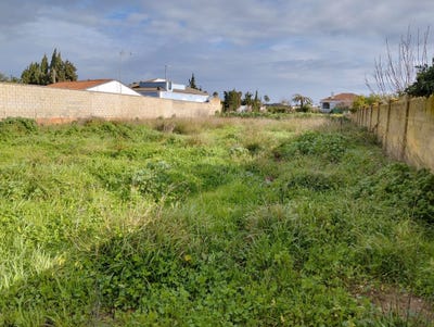 /international/es/camino-de-cabeza-de-la-vaca-sanlucar-de-barrameda-andalusia-310109817293/