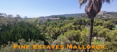 /international/es/son-vida-palma-balearic-islands-310104831249/