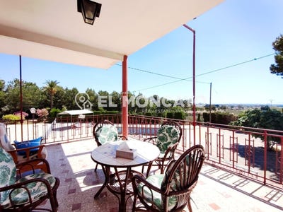 /international/es/crevillent-valencian-community-310108291095/
