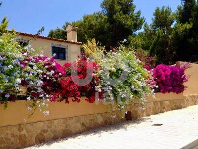 /international/es/alicante-valencian-community-310101225311/?lang=es