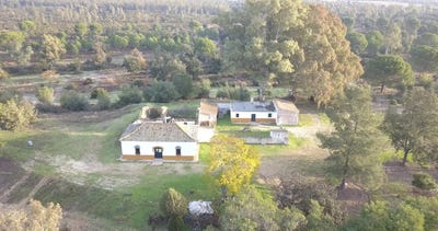 /international/es/almonte-andalusia-310105248746/