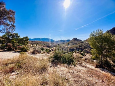 /international/es/xixona-valencian-community-310101188648/?lang=zh-tw
