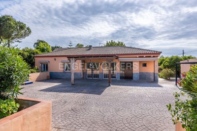 /international/es/mairena-del-alcor-andalusia-310100179623/