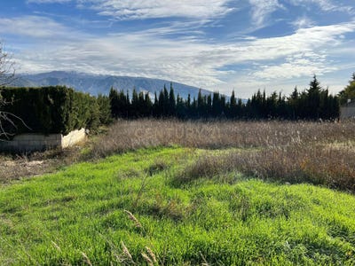 /international/es/padul-andalusia-310103536176/