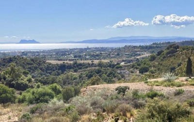 /international/es/estepona-andalusia-310104983540/