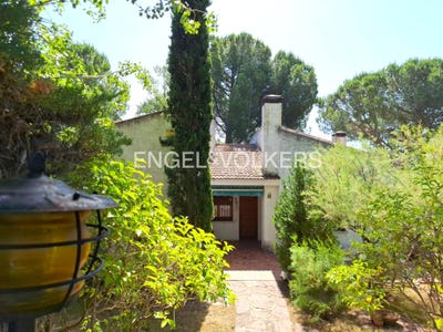 /international/es/las-rozas-de-madrid-madrid-310100644526/