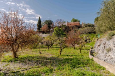 /international/es/velez-de-benaudalla-andalusia-310106576054/