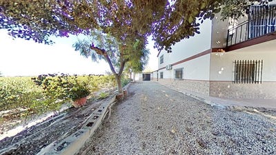/international/es/alicante-valencian-community-310096771063/