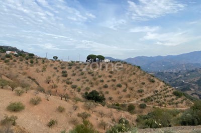 /international/es/lagar-carrasco-pp-r7-poligono-10-parcela-123-malaga-andalusia-120078836567/