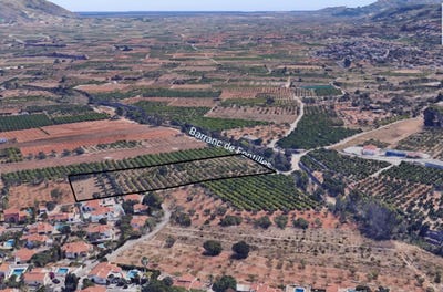 /international/es/orba-valencian-community-310101225219/?lang=zh-cn