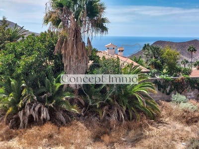/international/es/arona-canary-islands-310101483971/