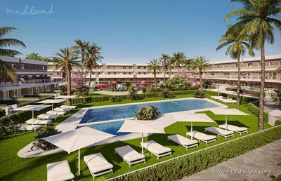/international/es/elche-valencian-community-310097624542/