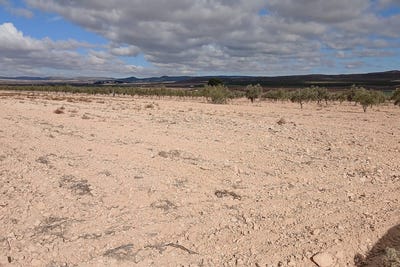 /international/es/yecla-region-of-murcia-310106992448/