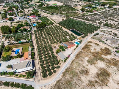 /international/es/elche-elx-valencian-community-310093936473/