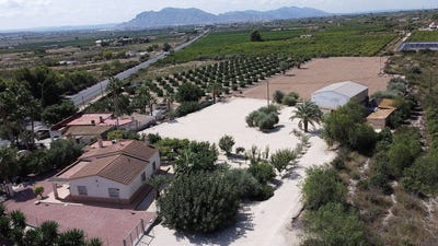 /international/es/crevillent-valencian-community-310108899931/