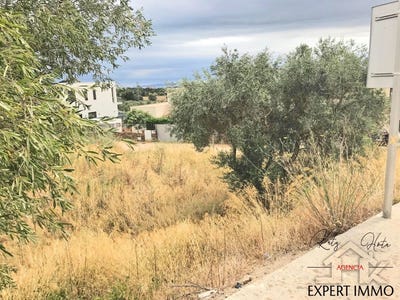/international/es/palau-saverdera-catalonia-310104324785/