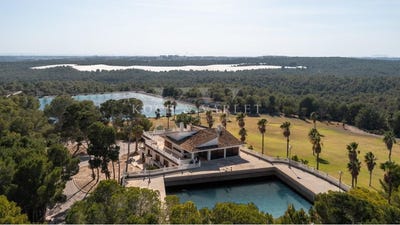 /international/es/torrevieja-valencian-community-310101230450/