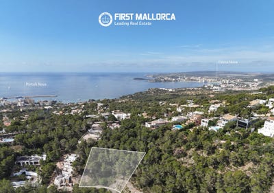 /international/es/21-carrer-sant-tomas-calvia-balearic-islands-310107089272/