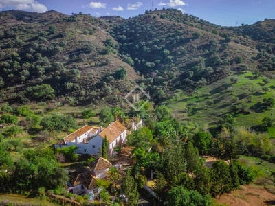 /international/es/almogia-andalusia-120091623837/?lang=zh-cn